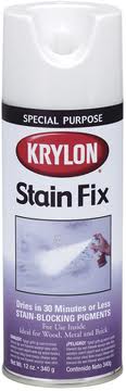 12oz Stain Fix