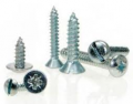 3*8# SELF TAPPING SCREW-F-10P  